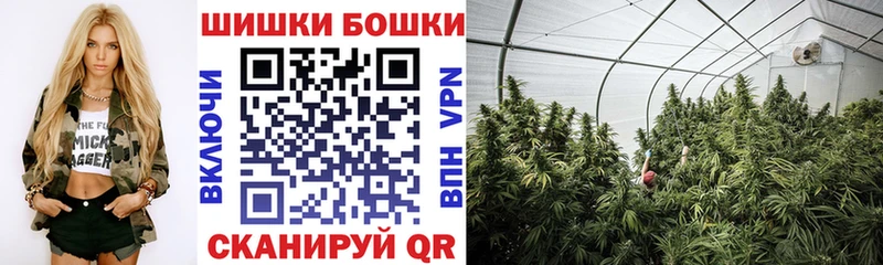 Купить  Николаевск-на-Амуре  Каннабис тримм 